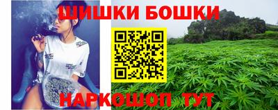 бошки Камышлов